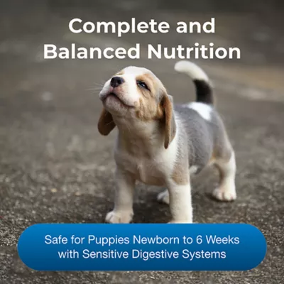 Product PetAg Goat's Milk Esbilac Powder, 12 oz