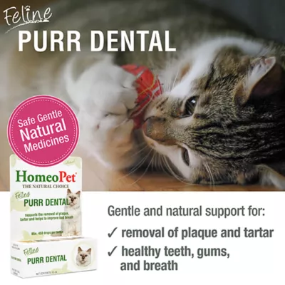 Product HomeoPet Feline Purr Dental Cat Supplement, 15mL bottle