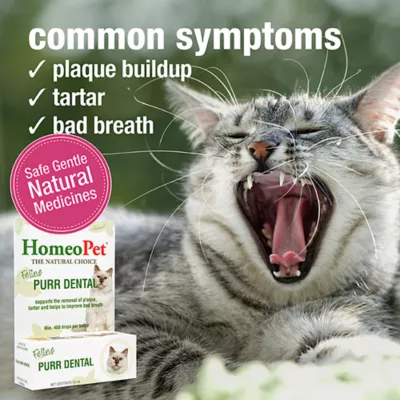 Product HomeoPet Feline Purr Dental Cat Supplement, 15mL bottle
