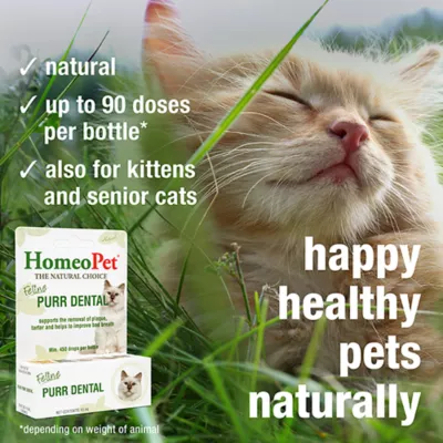 Product HomeoPet Feline Purr Dental Cat Supplement, 15mL bottle