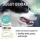 Product HomeoPet Doggy Dental Dog Supplement, 15 ml bottle