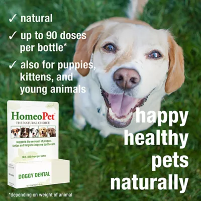 Product HomeoPet Doggy Dental Dog Supplement, 15 ml bottle