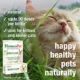 Product HomeoPet Feline Worm Clear Cat Supplement, 15 ml bottle
