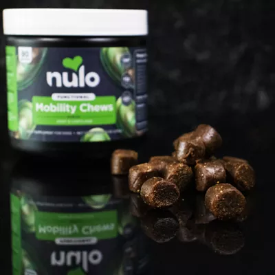 Product  Nulo Functional Dog Joint & Mobility Supplement, with MSM, Hydrolyzed Beef Collagen and Omega-3