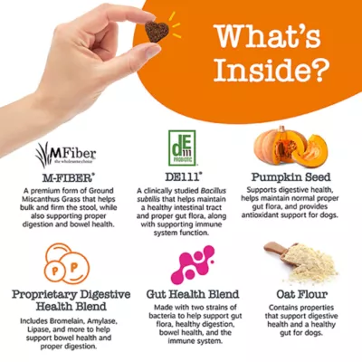 Product Zesty Paws Vet Strength Solid Poop Support Bites for Dogs, Chicken, 90 Count