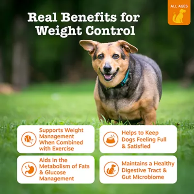 Product Zesty Paws Vet Strength Weight Management Bites for Dogs, Chicken, 90 Count