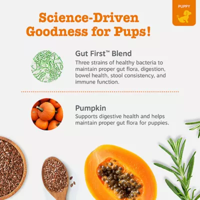 Product Zesty Paws Puppy Probiotic Bites for Dogs, Pumpkin, 90 Count