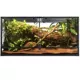 Product Reptizoo Glass Terrarium