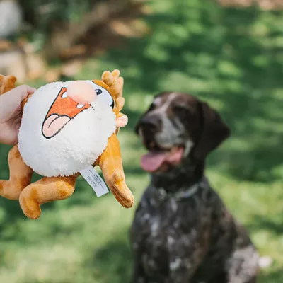 Product Buckle-Down Looney tunes Taz Plush Dog Toy