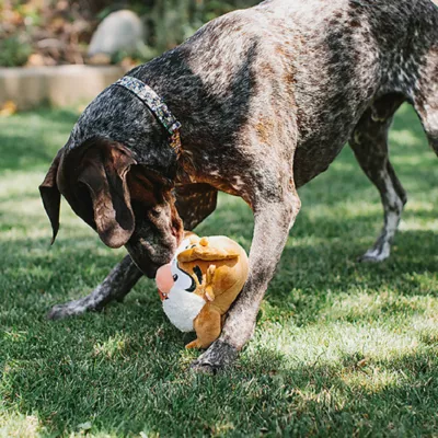 Product Buckle-Down Looney tunes Taz Plush Dog Toy