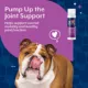 Product NaturVet Lickable Hip & Joint Health Supplement, Peanut Butter Flavor, 6.4 fl oz