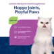 Product NaturVet Lickable Hip & Joint Health Supplement for Cats, Salmon Flavor, 3.2 fl oz