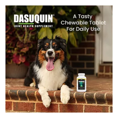 Product Nutramax Dasuquin with MSM, Joint Health Supplement, Chewable Tablets, 150 Count