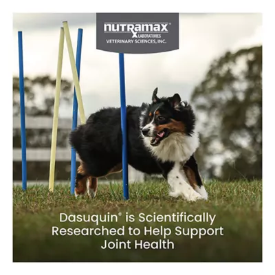 Product Nutramax Dasuquin with MSM for Large Dogs 60lbs and Over, Joint Supplement, Soft Chews, 150 Count