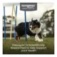 Product Nutramax Dasuquin with MSM for Large Dogs 60lbs and Over, Joint Supplement, Soft Chews, 150 Count