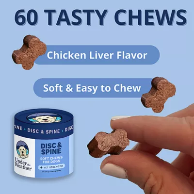 Product Under The Weather Disc and Spine Chews for Dogs, 60 Count