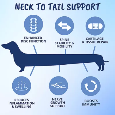 Product Under The Weather Disc and Spine Chews for Dogs, 60 Count