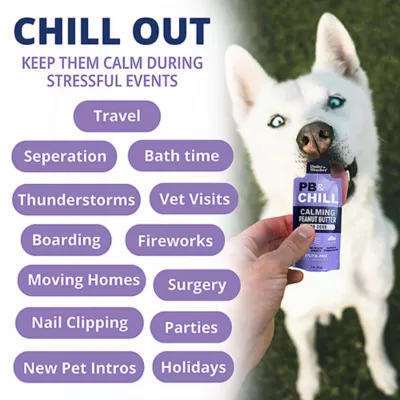 Product Under The Weather PB & Chill Calming Peanut Butter for Dogs, (6 pack) 1oz packets