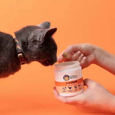Product Under The Weather Cat L-Lysine Powder - 2.54 Oz