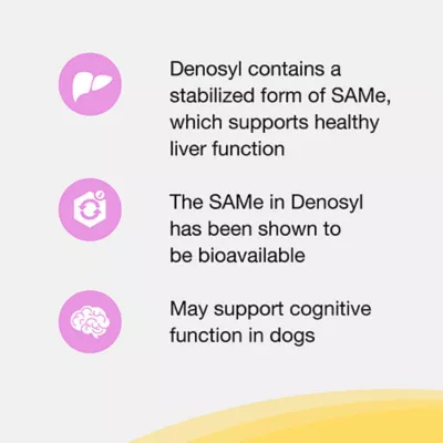 Product Nutramax Denosyl for Small Dogs and Cats 30 Stabilized Tablets