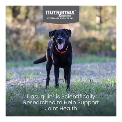Product Nutramax Dasuquin for Large Dogs 60lbs and Over, Joint Supplement, Chewable Tablets, 150 Count