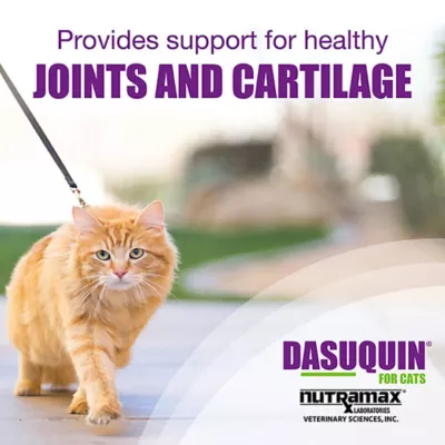 Product Nutramax Dasuquin for Cats, 84 Sprinkle Capsules