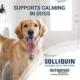 Product Nutramax Solliquin for Dogs and Large Cats, 75 Count Soft Chews