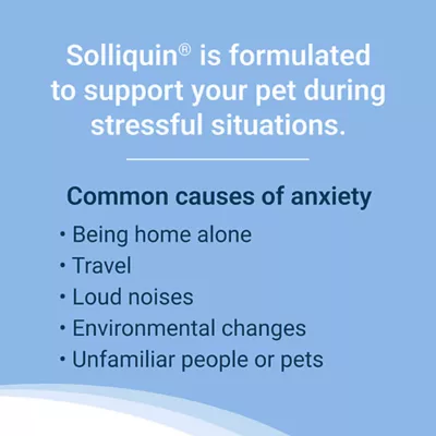 Product Nutramax Solliquin for Dogs and Large Cats, 75 Count Soft Chews