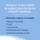 Product Nutramax Solliquin for Dogs and Large Cats, 75 Count Soft Chews