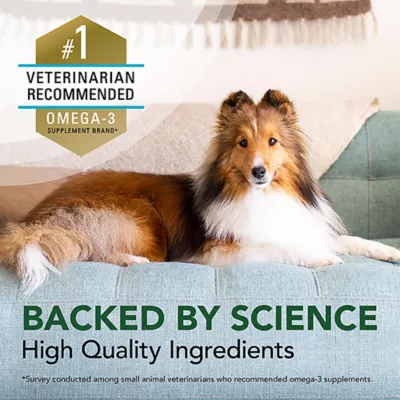 Product Nutramax Welactin Natural Omega-3 Supplement for Dogs, 16 Fl Oz