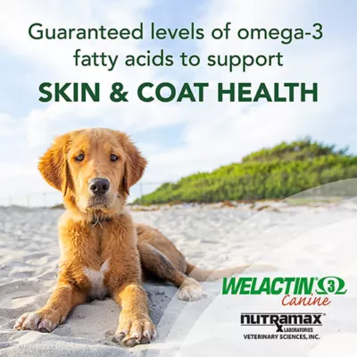 Product Nutramax Welactin Canine Softgels, 120 Count