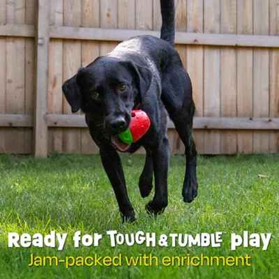 Product Brightkins Tough & Tumble 2 piece Strawberry