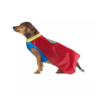 Product Rubies Pet Shop, Superhero Costume