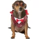 Product Rubies Pet Shop, Vampire Costume