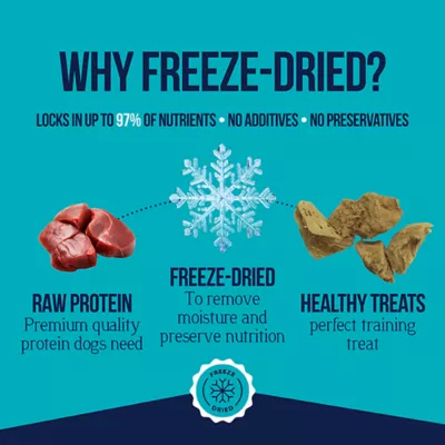 Product Stewart® All Life Stages Freeze Dried Dog Treat - Chicken Liver 16.8 oz