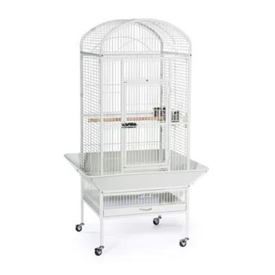 Product Prevue Pet Products Small Dometop Bird Cage