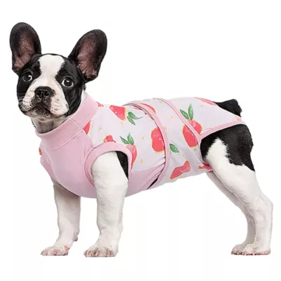 Product Kuoser Dog Recovery Suit