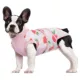 Product Kuoser Dog Recovery Suit