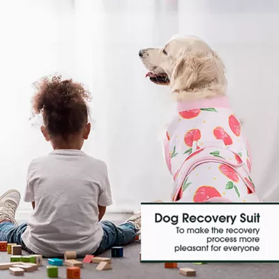 Product Kuoser Dog Recovery Suit