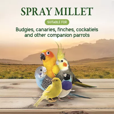 Product HARI Spray Millet Treat for Birds