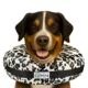 Product Comfurt Collar Pet Recovery Collar- Cheetah