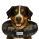 Product Comfurt Collar Pet Recovery Collar- Camo