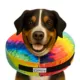 Product Comfurt Collar Pet Recovery Collar- Tie Dye