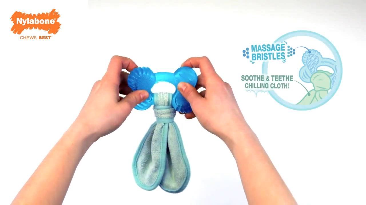 Nylabone® Teething Puppy Chew Freezer Bone Dog Toy Peanut Butter