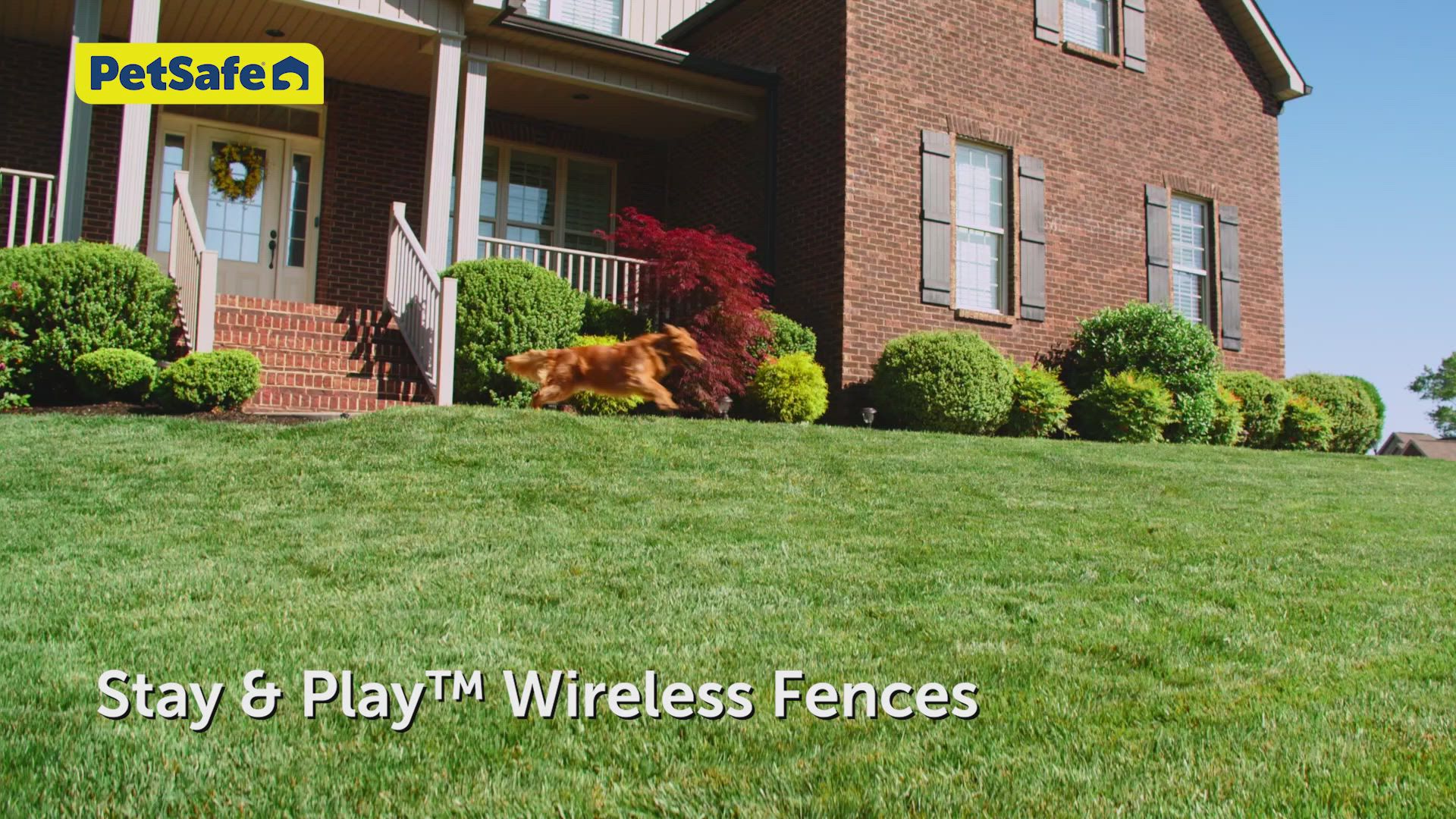 PetSafe® Stay Play Wireless Pet Fence for Stubborn Dogs Secure