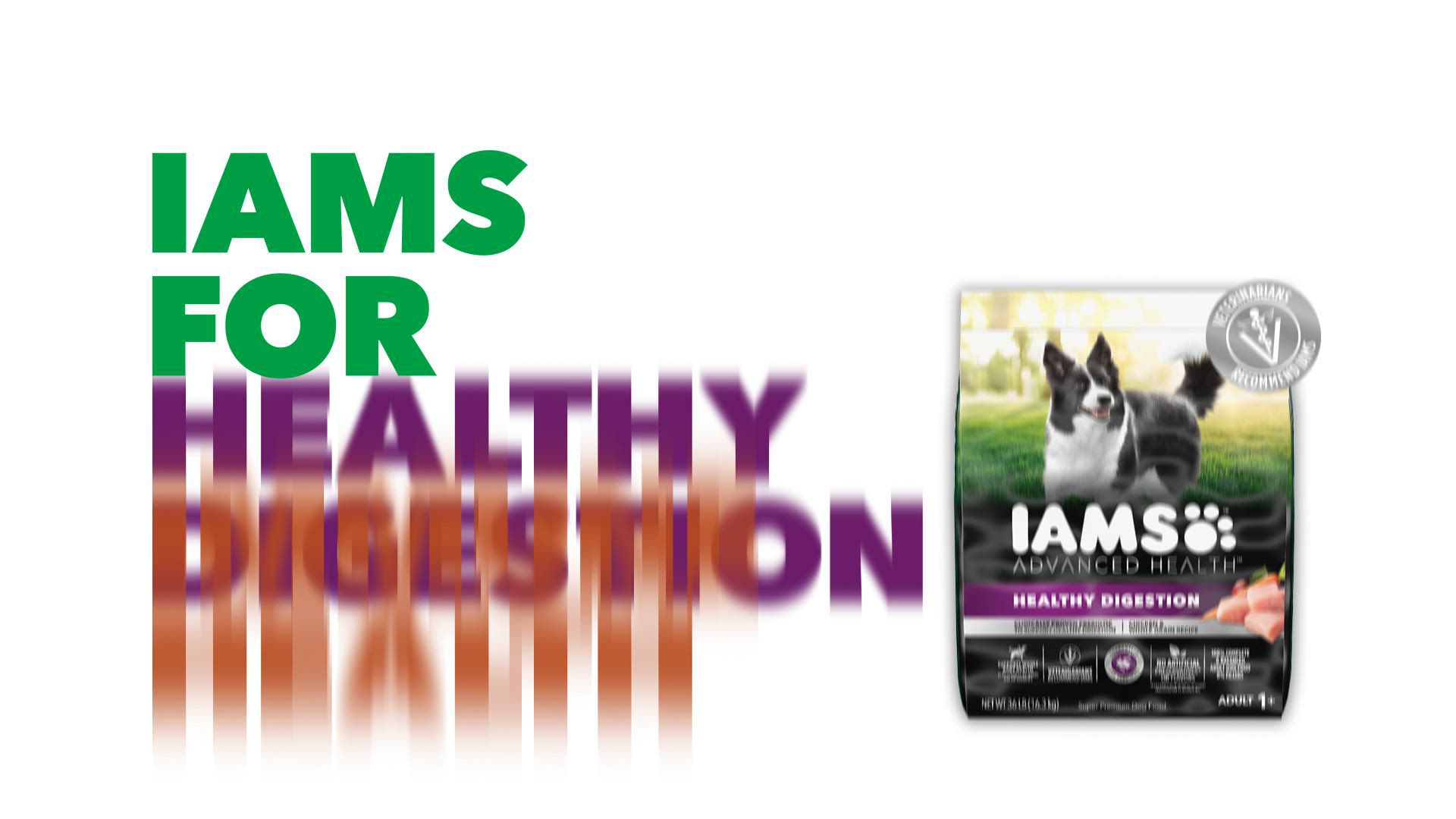 IAMS™ Proactive Health Senior Wet Dog Food Pate, 13 OZ - Main Image
