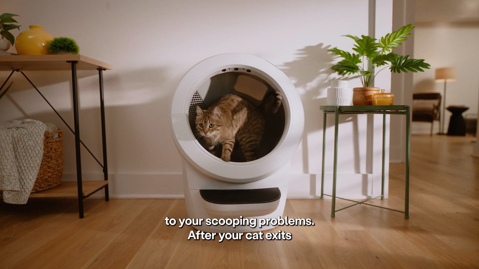 Litter-Robot® Automatic Self-Cleaning Cat Litter Box by Whisker