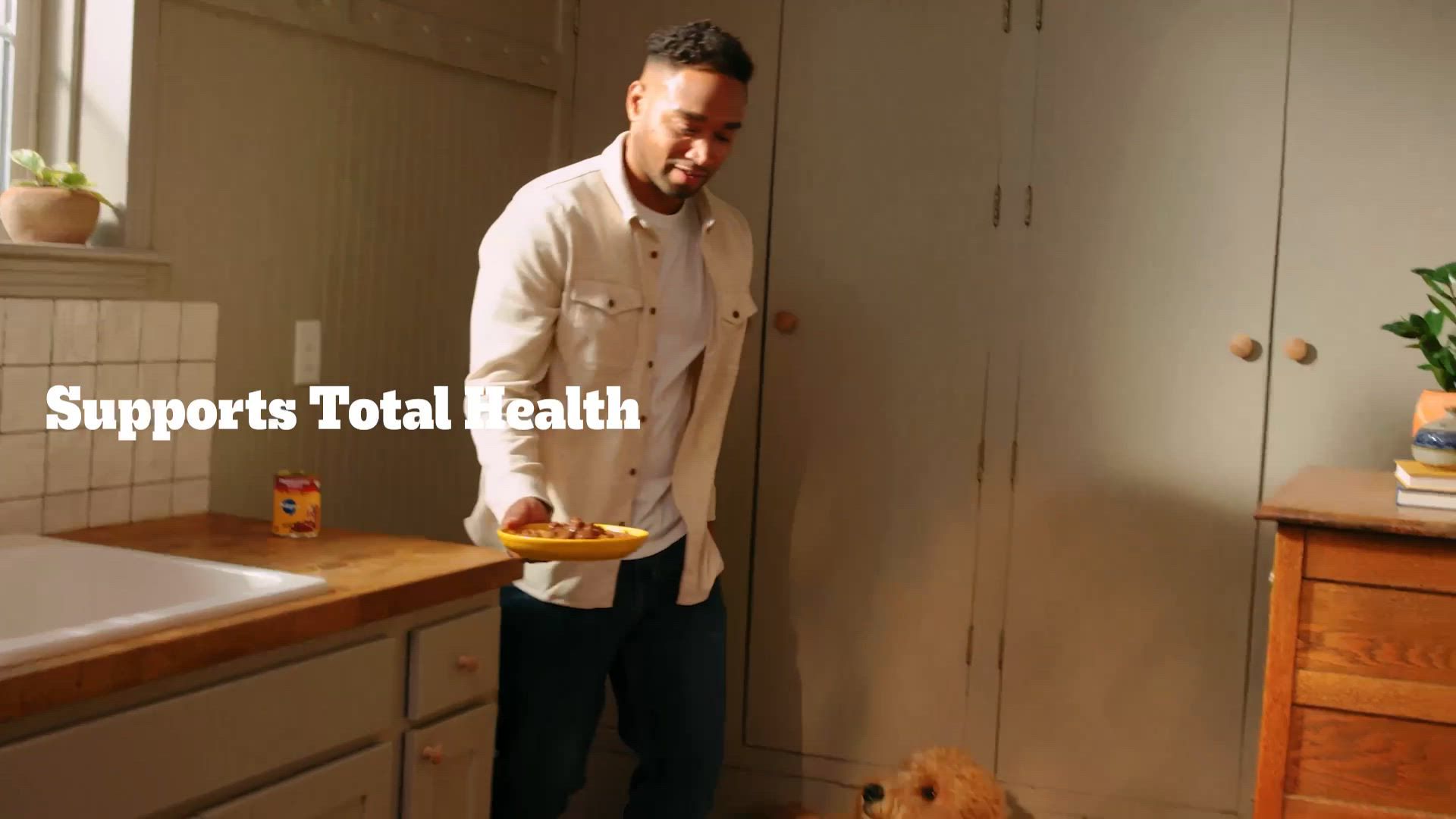 Pedigree Chopped Ground Dinner Weight Management Adult Wet Dog