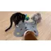 PawsPik Tumbling 3-In-1 Hide & Seek Cat Toy video thumbnail 9