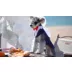 Kuoser Grey Dog Tuxedo Suit & Bandana Set, Formal Dog Clothing for Weddings, Parties, & Events video thumbnail 7